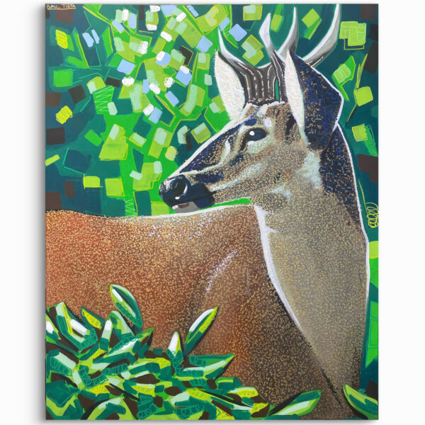 La Magia del Huemul